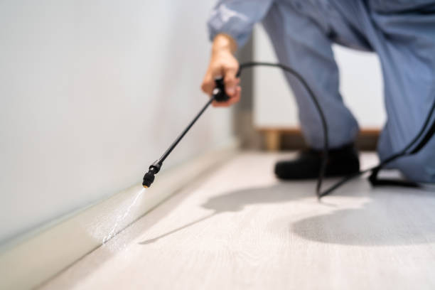 Professional exterminator conducting IPM assessment in Tularosa